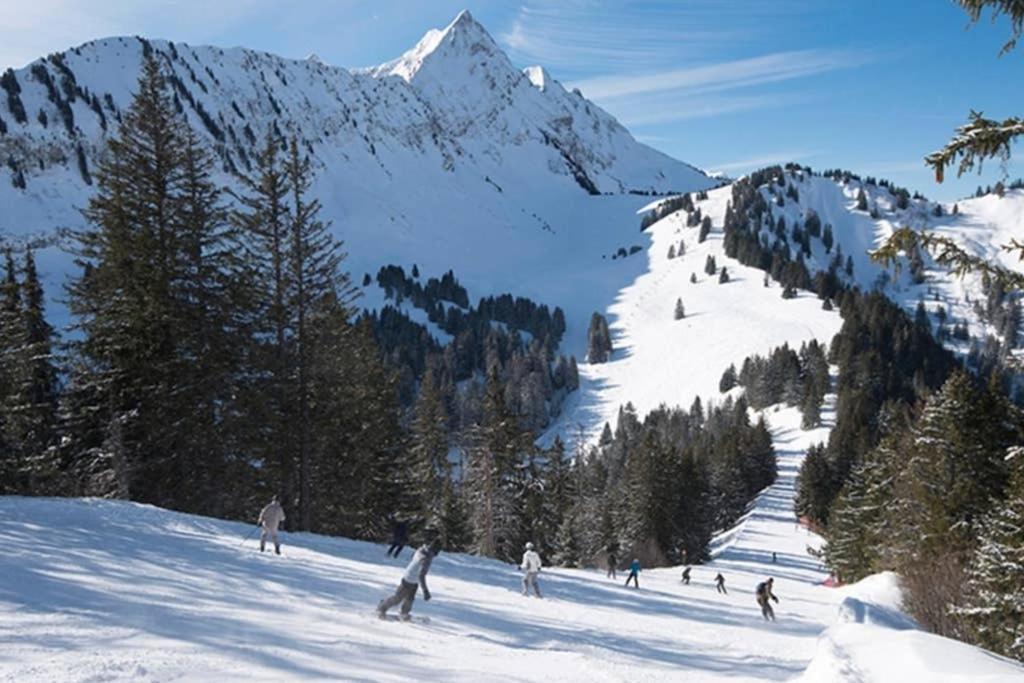 L'Enchalpe, Grand Et Lumineux Studio Avec Coin Montagne 5 Personnes, 60M Des Pistes, Piscine Couverte, Wifi, Grand Balcon Expo Est, Draps Non Compris Saint-Jean-dʼAulps Esterno foto