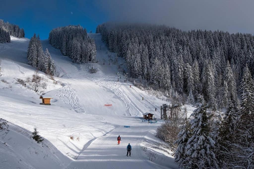 L'Enchalpe, Grand Et Lumineux Studio Avec Coin Montagne 5 Personnes, 60M Des Pistes, Piscine Couverte, Wifi, Grand Balcon Expo Est, Draps Non Compris Saint-Jean-dʼAulps Esterno foto